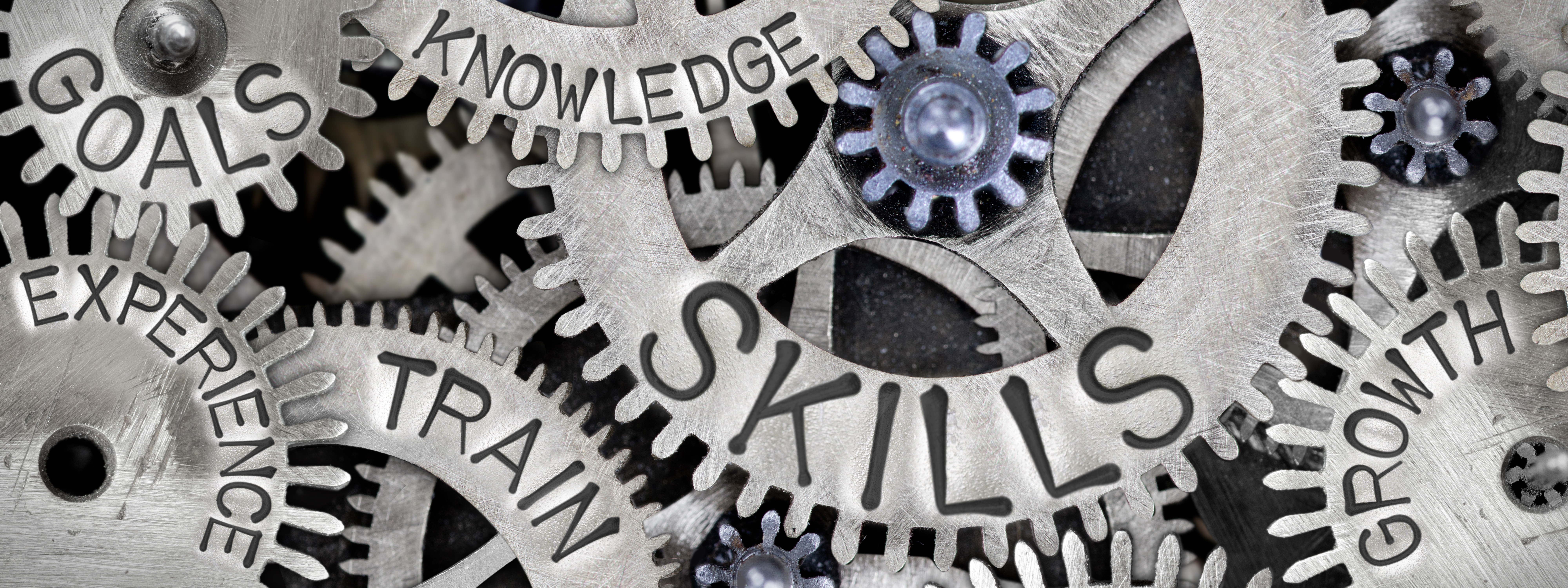 Corso e-learning revisione enti locali per i funzionari dell'amministrazione civile dell'Interno e degli Enti locali