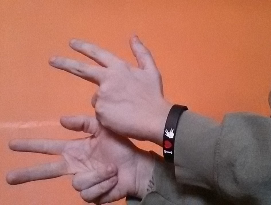 immagine che contiene il segno per segnare con le mani in lingua dei segni italiana